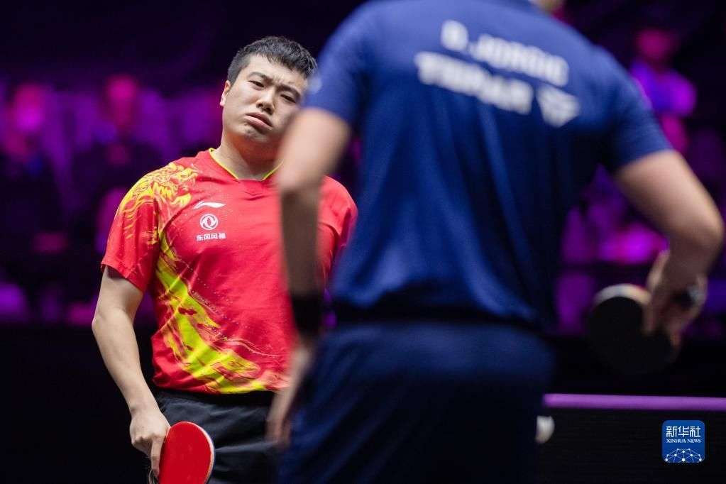 杨的理念与 杨的理念与