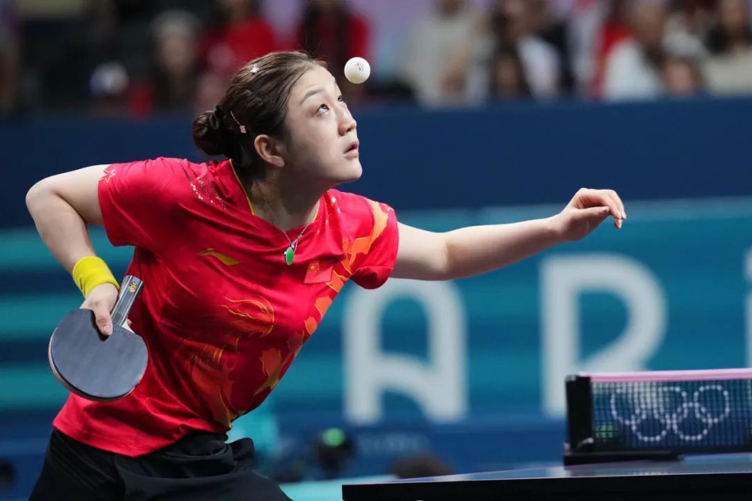 保护与推进 保护与推进